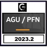 AGU  PFN  (G7 2023.2)